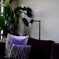 Calex Smart Réflecteur LED GU10 4,9 W RVB CCT X2 -Déco Lumière Soldes 10011101 5