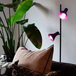 Calex Smart E14 P45 4,9 W Ampoule LED CCT RVB X2 -Déco Lumière Soldes 10011574 2