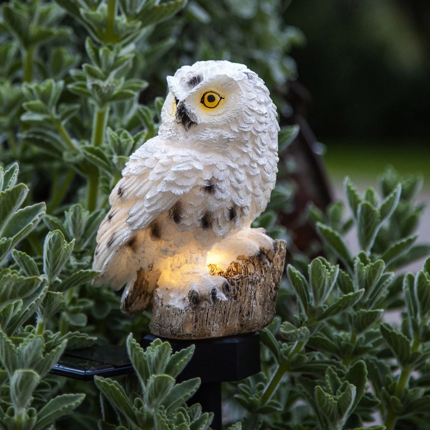 Star Trading Lampe Solaire LED Owl Avec Piquet 3 Star Trading Lampe Solaire LED Owl Avec Piquet – Image 3