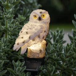 Star Trading Lampe Solaire LED Owl Avec Piquet