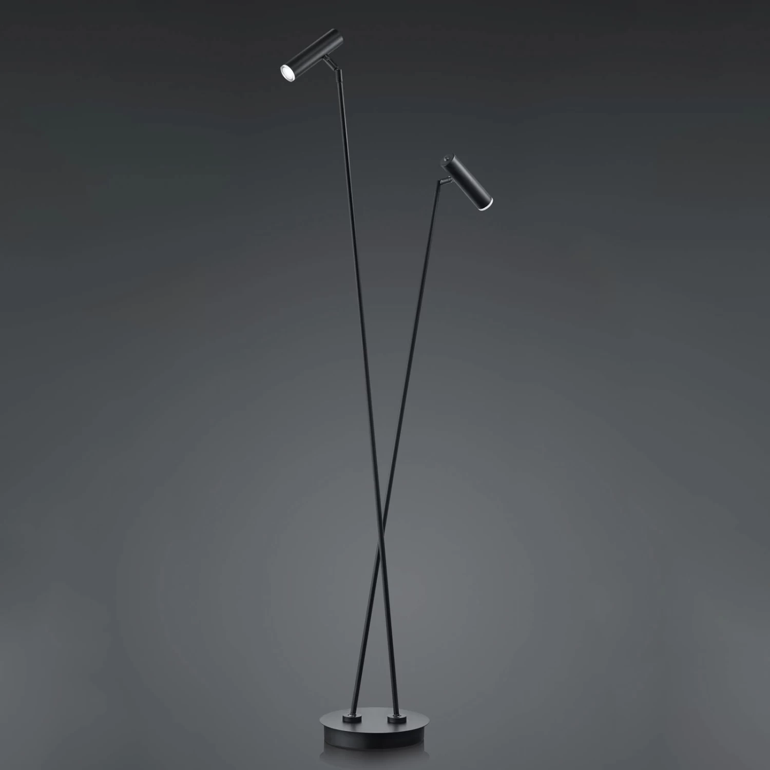 Lampadaire LED Tom, à 2 Lampe, Noir 1 Lampadaire LED Tom, à 2 Lampe, Noir