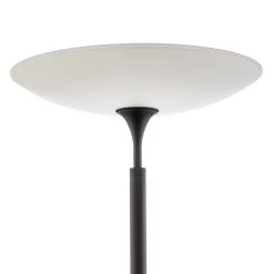 Rothfels Trinessa Lampadaire Indirect Bras Noir 12 Rothfels Trinessa Lampadaire Indirect Bras Noir -Déco Lumière Soldes 1575020 4