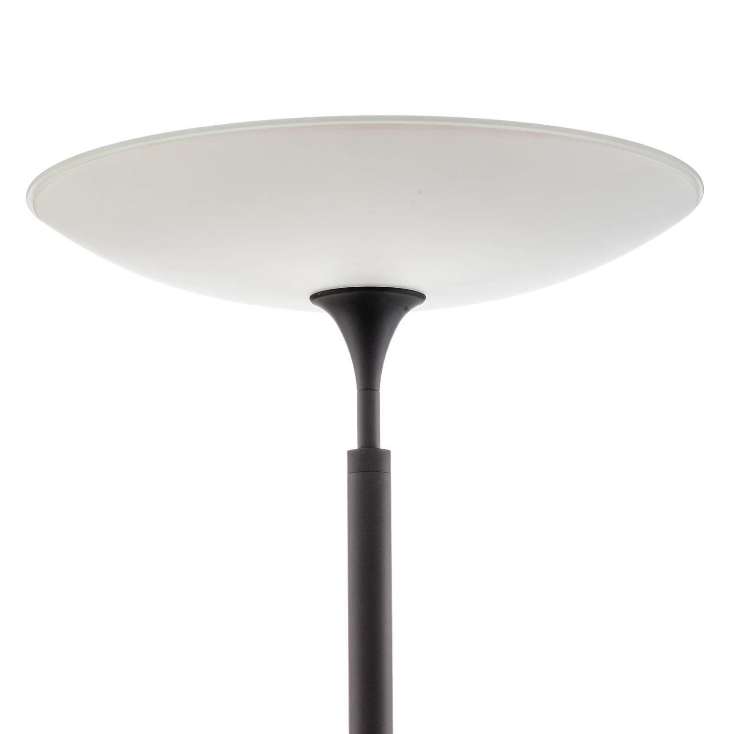 Rothfels Trinessa Lampadaire Indirect Bras Noir 5 Rothfels Trinessa Lampadaire Indirect Bras Noir – Image 5