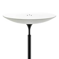 Rothfels Trinessa Lampadaire Indirect Bras Noir 15 Rothfels Trinessa Lampadaire Indirect Bras Noir -Déco Lumière Soldes 1575020 7