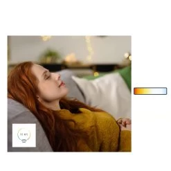 Müller Licht Tint Globe LED G95 E27 5,5 W Doré -Déco Lumière Soldes 6520423 2