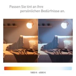 Müller Licht Tint Globe LED G95 E27 5,5 W Doré -Déco Lumière Soldes 6520423 5