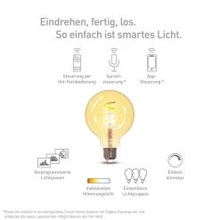Müller Licht Tint Globe LED G95 E27 5,5 W Doré -Déco Lumière Soldes 6520423 6