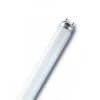 OSRAM G13 Tube Fluorescent T8 Fluora De 36W Pour Plantes