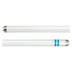 Philips Tube Fluo G13 T8 Avec Protection Contre Les éclats