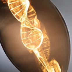 Paulmann Ampoule LED E27 3,5 W Helix 1 800 K Dorée 9 Paulmann Ampoule LED E27 3,5 W Helix 1 800 K Dorée -Déco Lumière Soldes 7603024 2