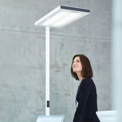 Lampadaire LED Lavigo DPS 14000, 4 000 K, Blanc -Déco Lumière Soldes 9600109 5