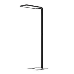 Lampadaire LED Yara.single CCT, BT, PIR, Noir